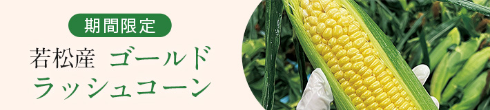 季節の野菜_とうもろこし