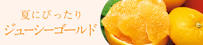 夏のフルーツ_柑橘