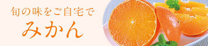 旬のフルーツ_みかん