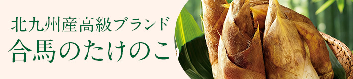 旬の野菜_合馬のたけのこ