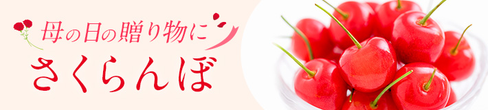 旬のフルーツ_さくらんぼ