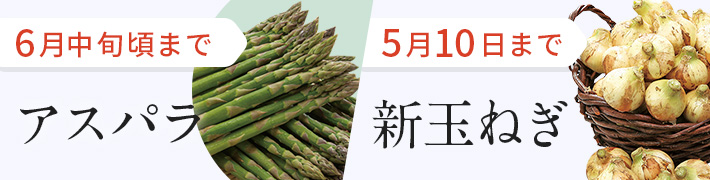 旬の野菜特集