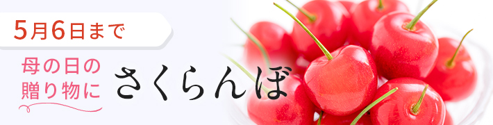 旬のフルーツ_さくらんぼ