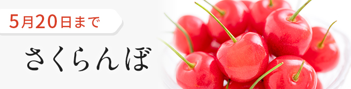 旬のフルーツ_さくらんぼ