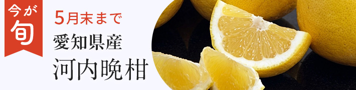 季節のフルーツ_河内晩柑