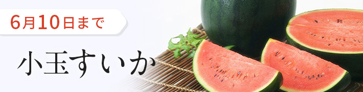 季節のフルーツ_小玉スイカ