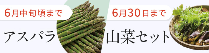 旬の野菜特集