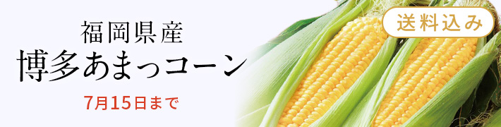 季節の野菜_とうもろこし
