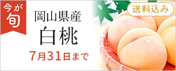 旬のフルーツ_桃