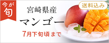 旬のフルーツ_マンゴー