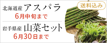 旬の野菜特集