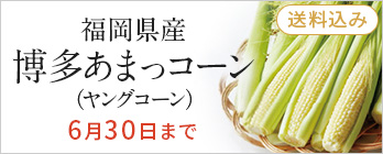旬の野菜_ヤングコーン