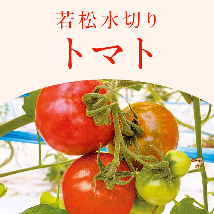 旬のフルーツ・野菜_とまと