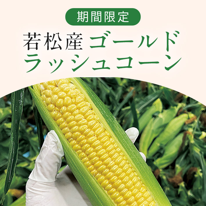 季節の野菜_とうもろこし