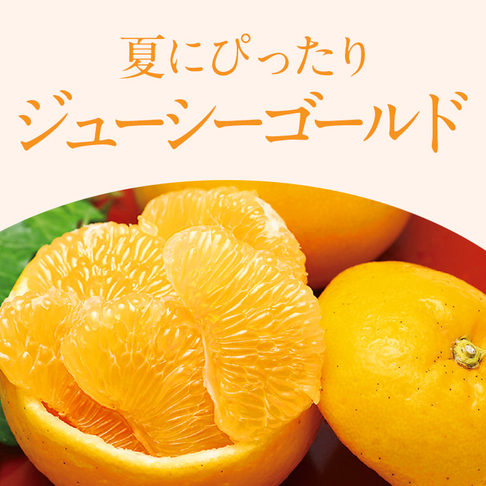 夏のフルーツ_柑橘