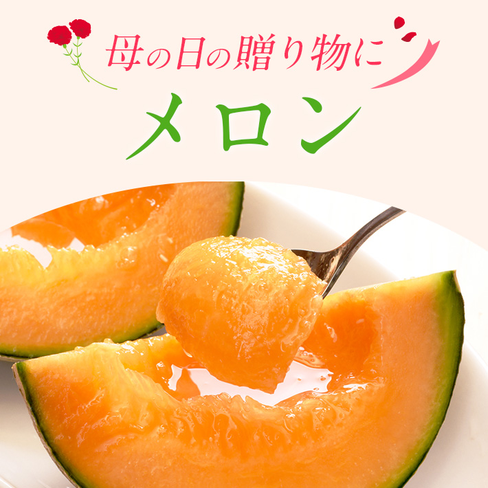 旬のフルーツ_メロン