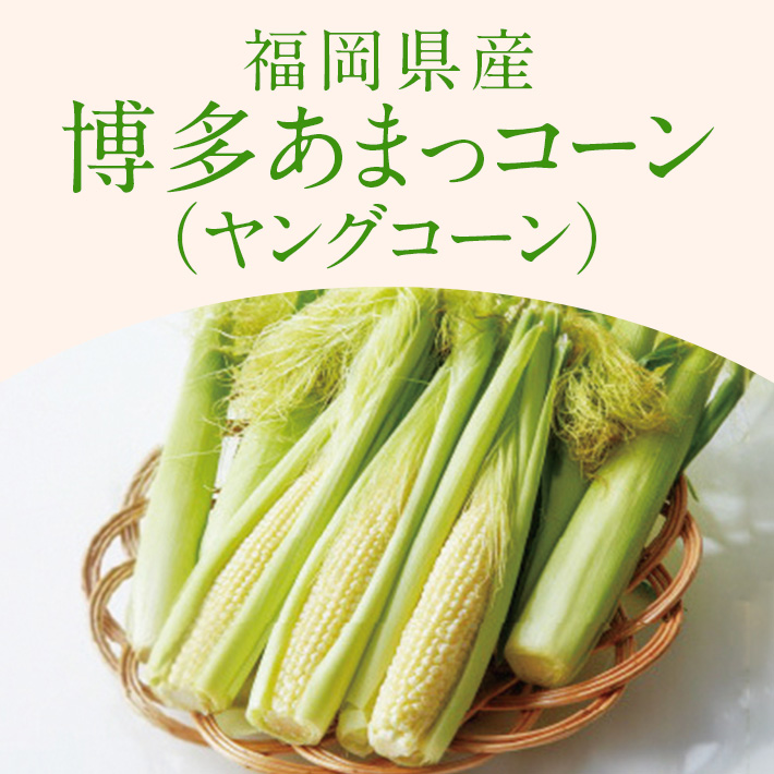 旬の野菜_ヤングコーン