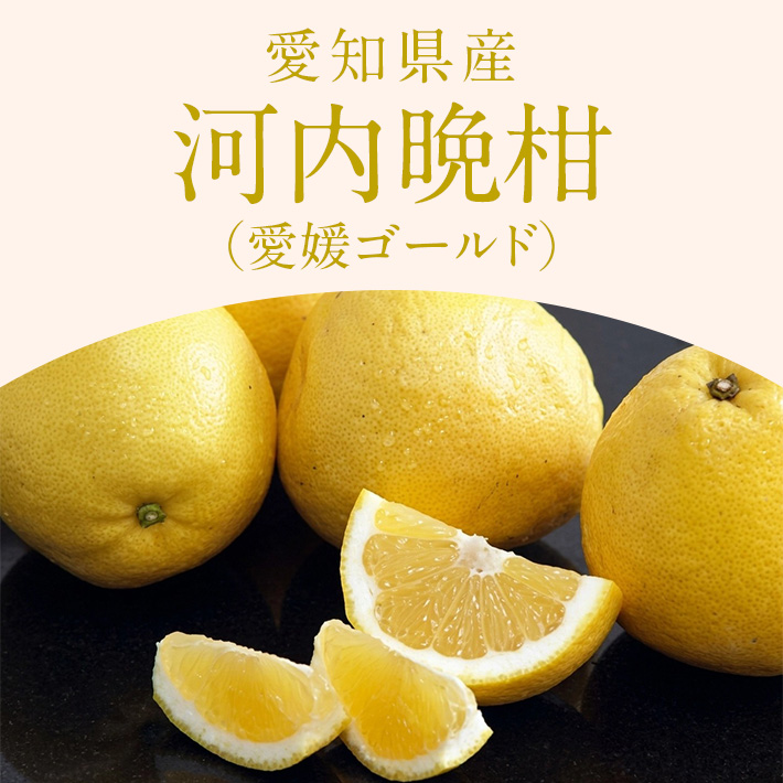 季節のフルーツ_河内晩柑