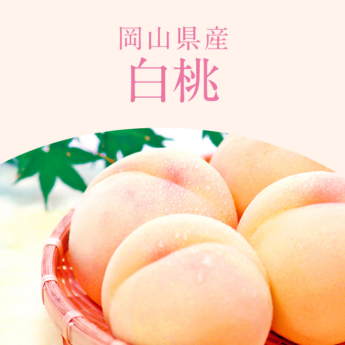 旬のフルーツ 桃