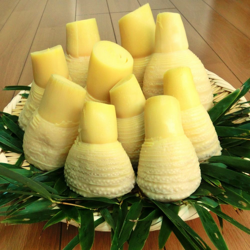 合馬産筍（ゆがき） 2kg: 通信販売用 | 井筒屋オンラインショッピング