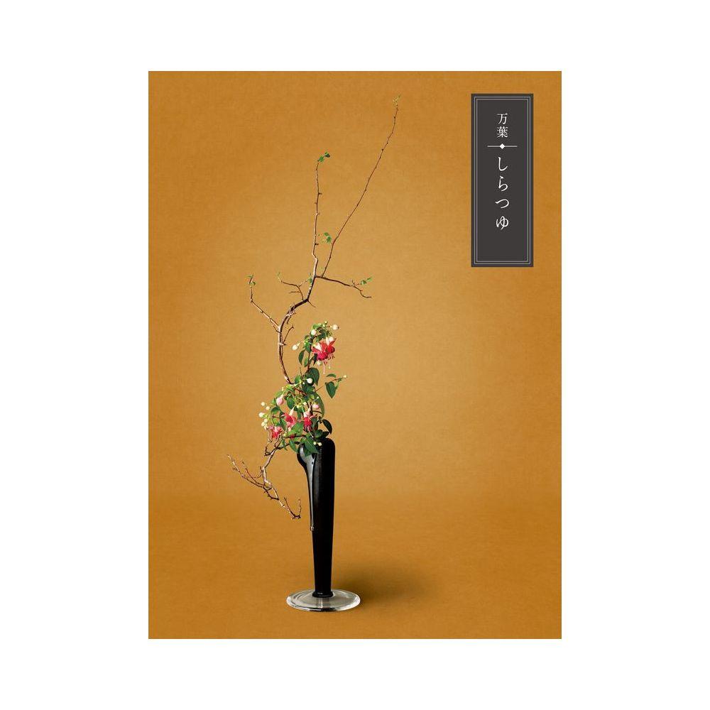 万葉 しらつゆコース: カタログギフト | 井筒屋オンライン