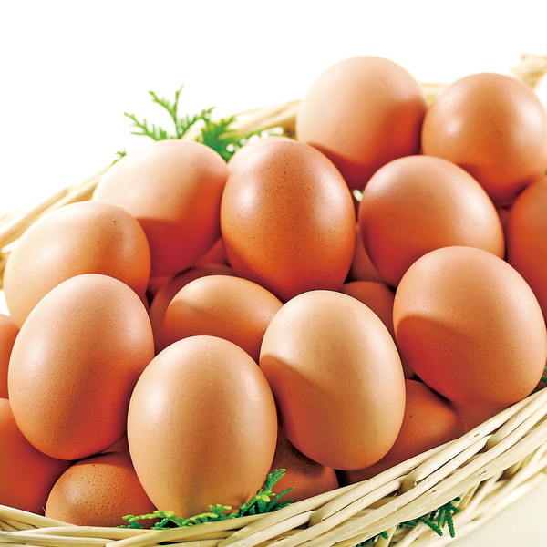 野上養鶏場]味宝卵（20個）: フード・スイーツ | 井筒屋オンライン