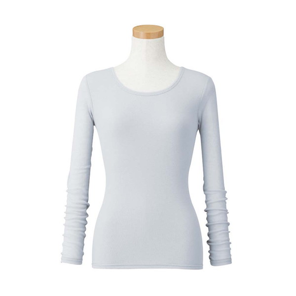 フロストシルバー