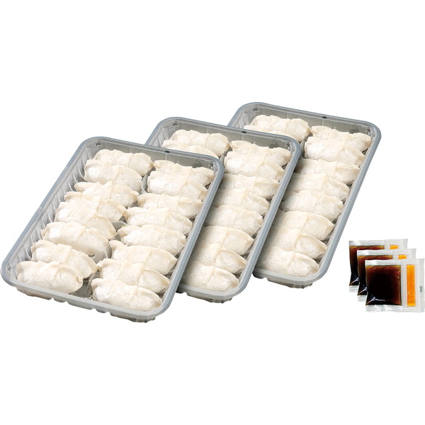 ご自宅用 黒豚にんにく餃子セット [GATU-3]