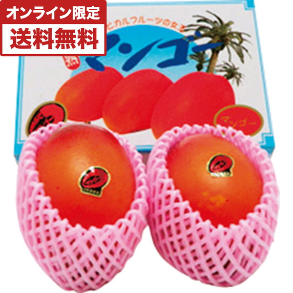宮崎県産完熟マンゴ 2玉入 [TZM-85]