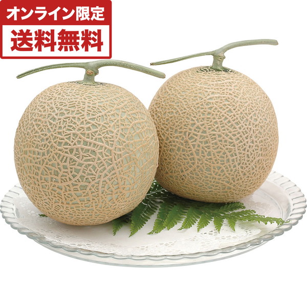 高糖度（13度以上） 九州産マスクメロン（2玉入） [TYM-90]