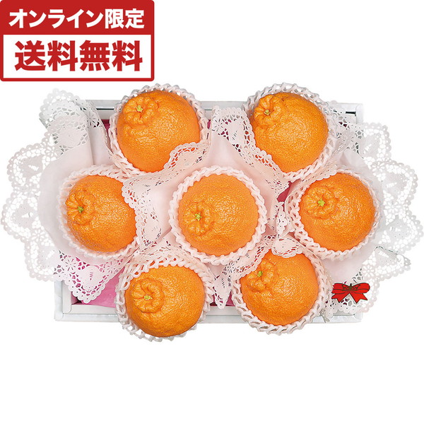 熊本県産デコポン [TDP-55]