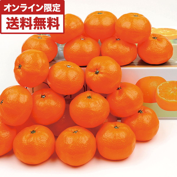 小川のポンカン [TOP45]