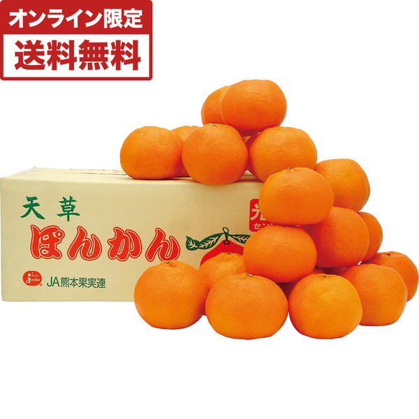 天草ポンカン [TPK-58]