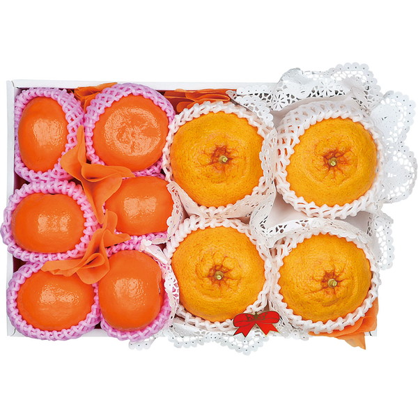 熊本県産デコポン＆ポンカン詰合せ [JTAO-58]