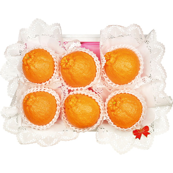 火の国ロマン（九州産デコポン） [JTHR-50]