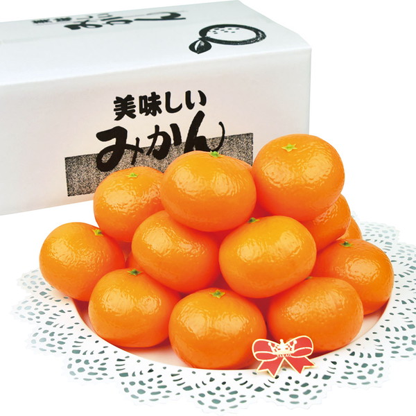 ご自宅用 温州みかん[TUM-65]