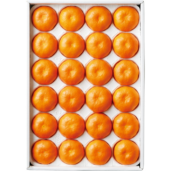 [日本橋 千疋屋総本店] 出島の華みかん [SDM-160]