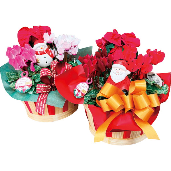 季節の寄せカゴ [B53]