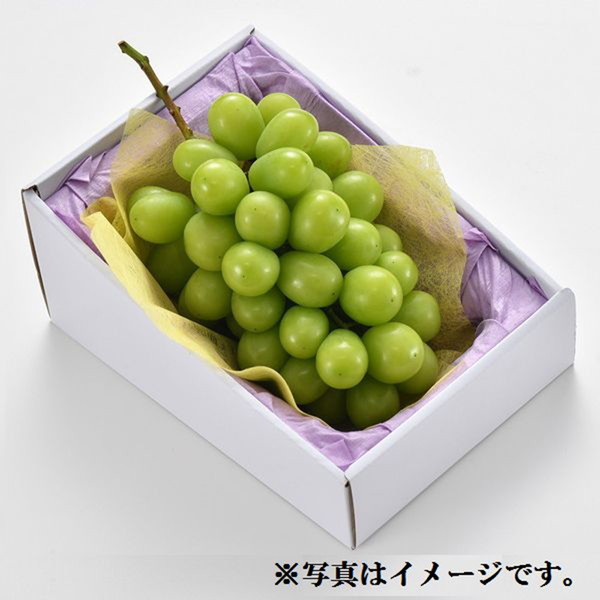 [フーズメーカー] シャインマスカット