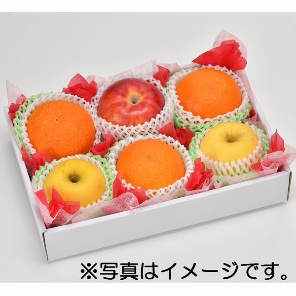 [フ－ズメ－カ－] 旬のフルーツお楽しみBOX