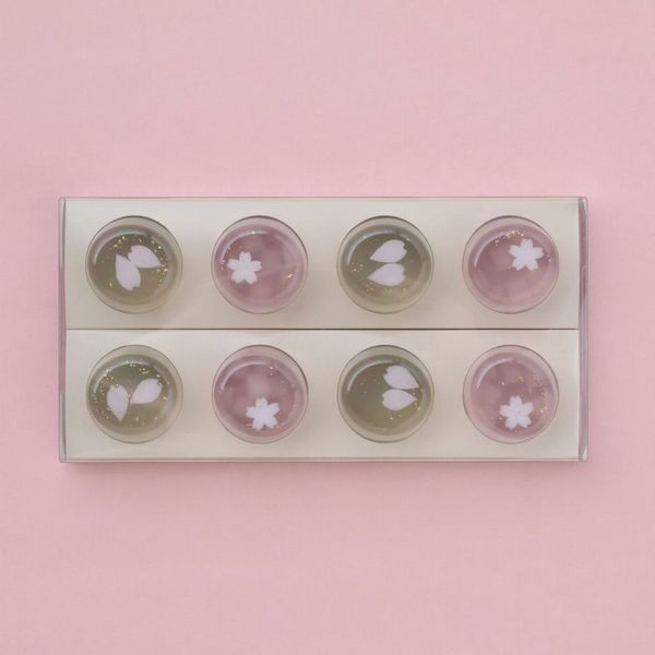 [京菓匠　笹屋伊織] 桜ゼリー 12個入