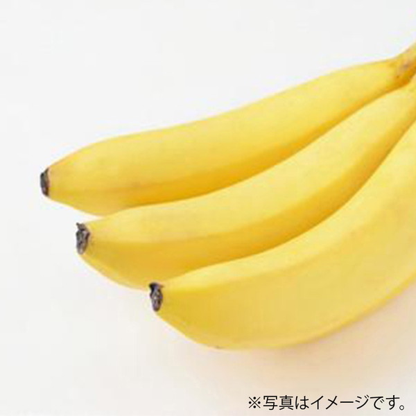 ［フーズメーカー］ バナナ（1袋）　～ネットデパ地下