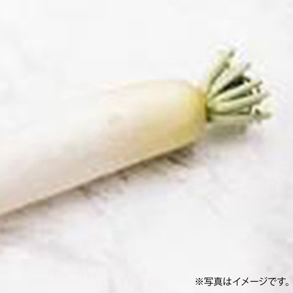 [フーズメーカー] 大根 (1/2本)　～ネットデパ地下