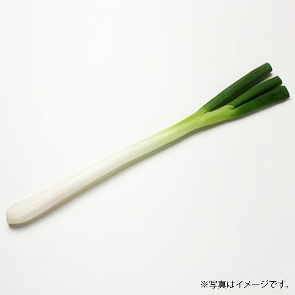 [フーズメーカー] 白ねぎ (1袋)　～ネットデパ地下