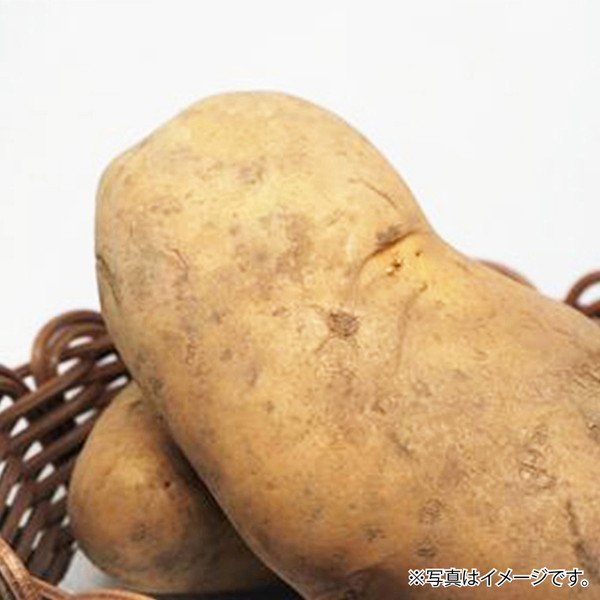 [フーズメーカー] じゃがいも（2個）　～ネットデパ地下