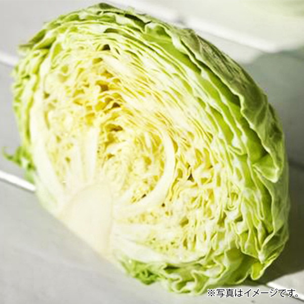 [フーズメーカー] キャベツ（1/2玉）　～ネットデパ地下