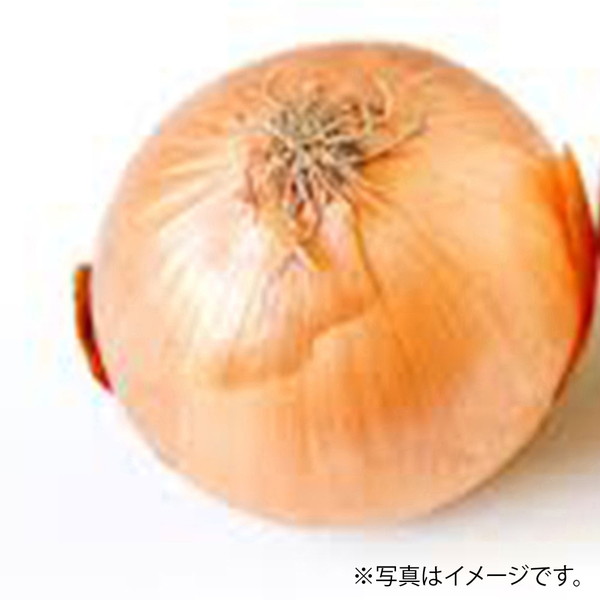[フーズメーカー] 玉ねぎ（１玉）　～ネットデパ地下