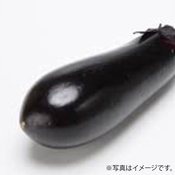 [フーズメーカー] なす（2本）　～ネットデパ地下