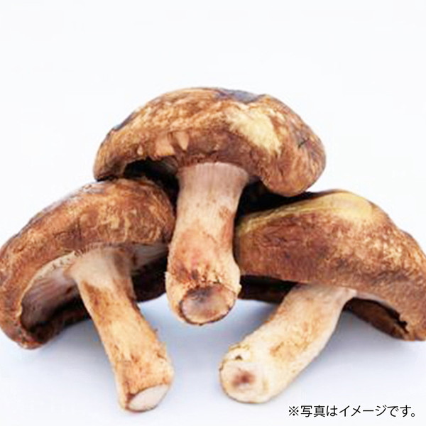 [フーズメーカー] 生椎茸（1パック）　～ネットデパ地下