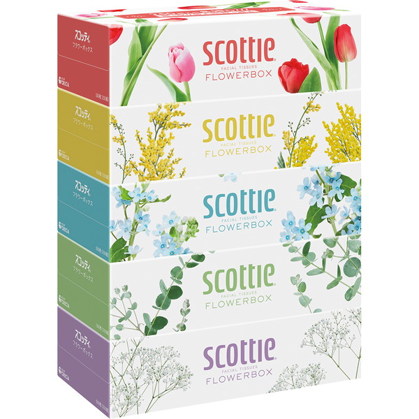 [通信販売] ティシュー フラワーボックス（250組、5箱パック）　～ネットデパ地下